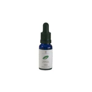 EXTRACTO DE TÉ VERDE